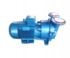 Water ring vacuum pump